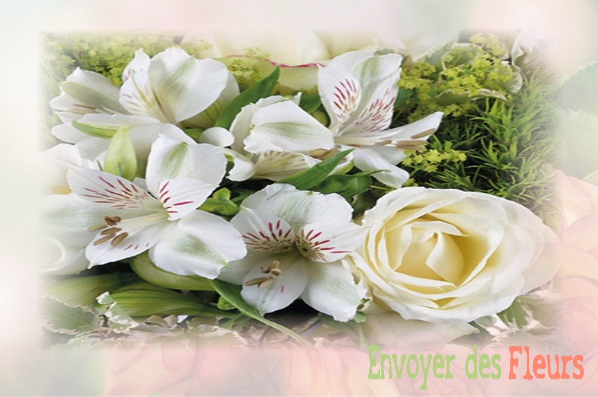 envoyer des fleurs à à SAINT-HILAIRE-LE-CHATEAU